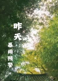 昨天暴雨预警txt