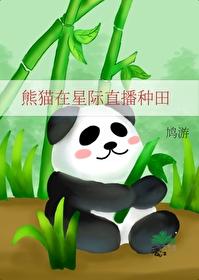 星际大熊猫