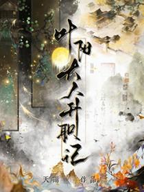 叶阳大人升职记好看吗