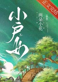 小户娇娃刚过门打一准确动物