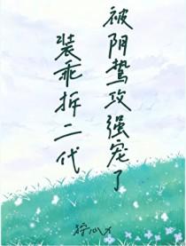 装乖谁攻谁受