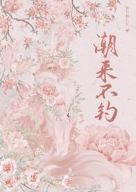 潮来潮往