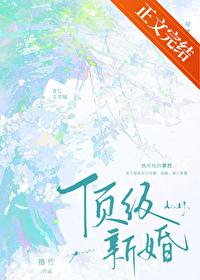顶级新婚番外全
