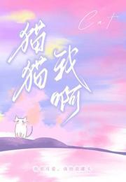我猫猫是什么意思