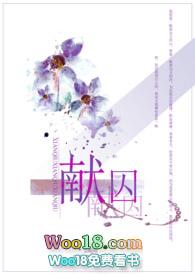 献囚(NP高H)讲的啥
