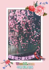 综影视之肆无忌惮nph