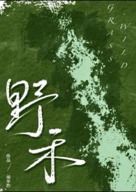 1v2伪兄妹