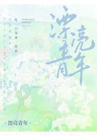 漂亮男孩免费全文阅读
