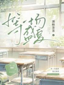 等一场盛夏薄柿茶茶