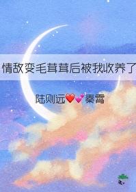 情敌变成了我的猫怎么办在线等急by雨田君