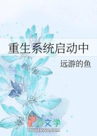 进系统 重启