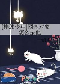 排球少年cp图连线