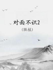 对面不识by隰植 长佩