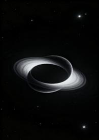双星引力txt