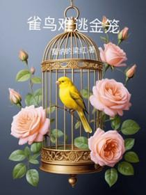 雀鸟与金笼全文免费阅读