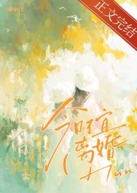 今日离婚能办吗