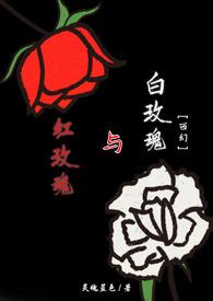 红玫瑰与白玫瑰在线阅读