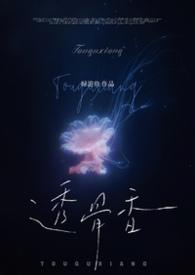 透骨香全文无删减阅读