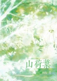 山荷叶合剂多少钱一瓶