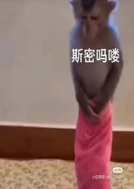 泡芙小姐名场面