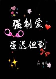 强制爱是啥意思