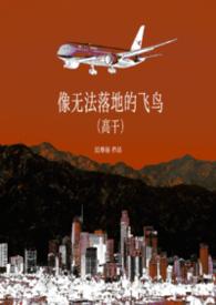 无法飞翔的鸟