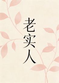 老实人12新书
