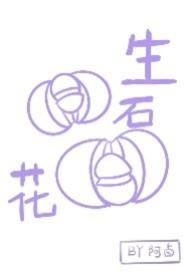 生石花荒玉C374