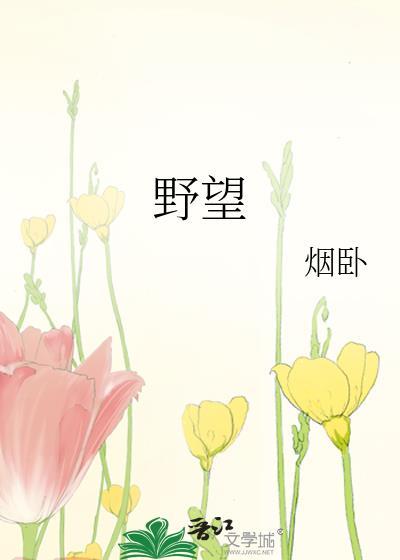 野望王绩
