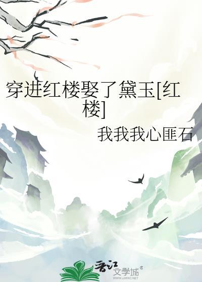 穿入红楼梦