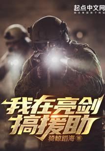 我在亮剑搞援助txt