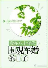 我在80年代围观军婚的日子无防盗