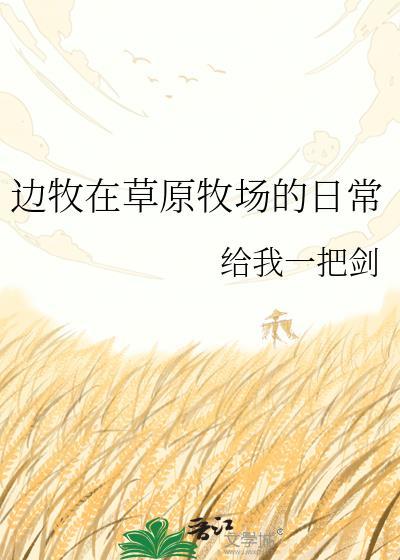 边牧活动