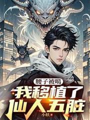 我移植了仙人五脏txt