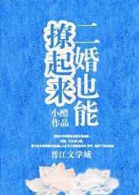 二婚也能撩起来无重复