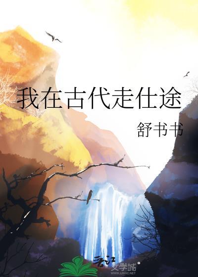 我在古代走仕途 舒书书