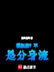 模拟器不是分身流洛月幻华