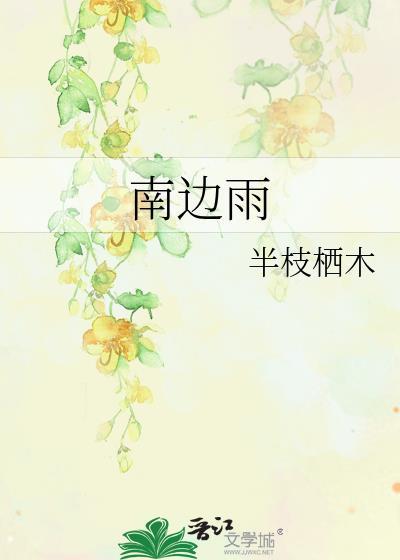 南边雨免费阅读