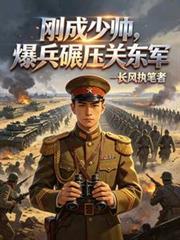 少帅民国