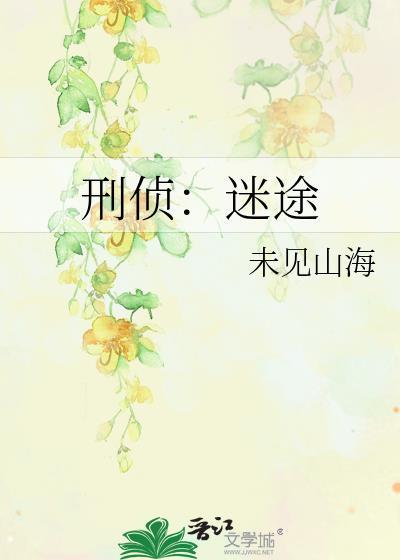 刑侦迷途