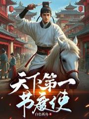 天下第一节度使TXT
