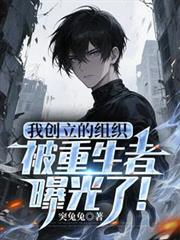 主角创造了一个组织的