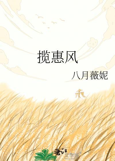 揽惠风全文免费阅读最新章节