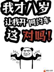 让我开网约车这对吗?萧诧 哪里有听书