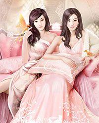 四合院傻柱的