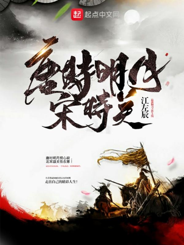 唐时明月宋时关 TXT