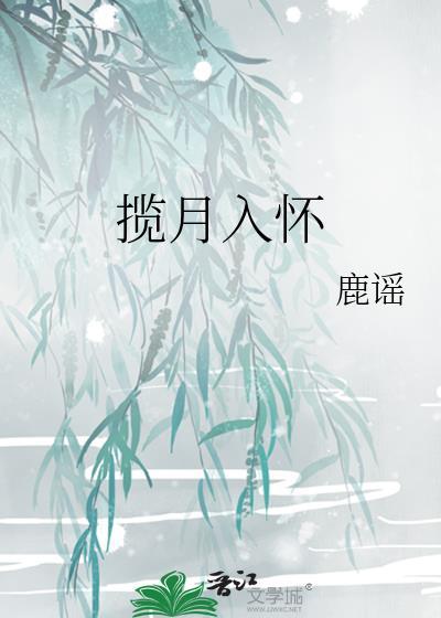 揽月入怀